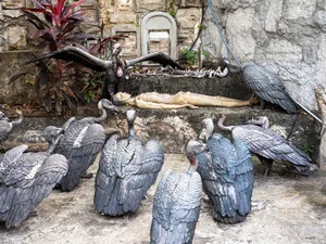 Eerie tableau unfolds at Bangkok's Wat Saket, the Golden Mount, as vulture statues lock gaze with a lifeless form, captivating a macabre scene.