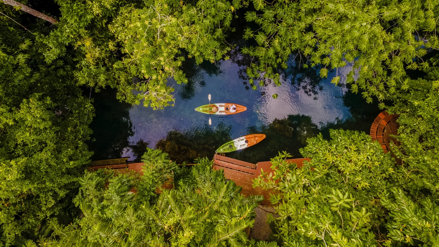 Ao Thalane Mangroves