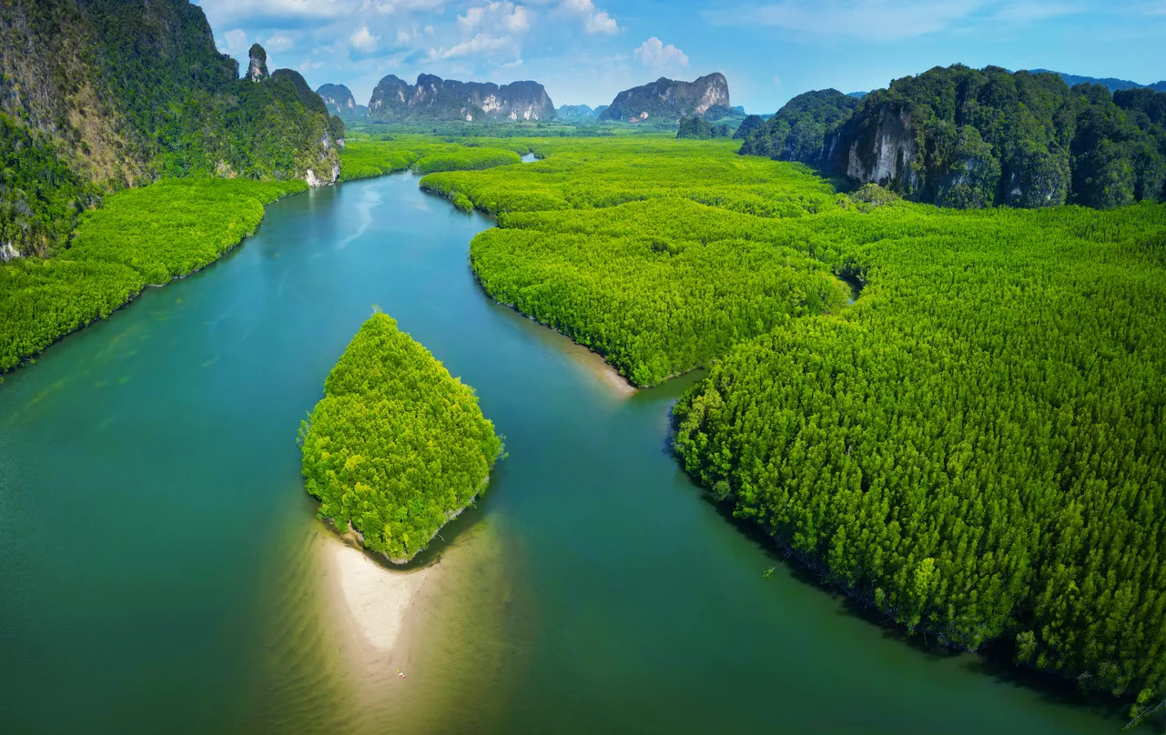 The Hidden Matrix | Ao Thalane Mangroves