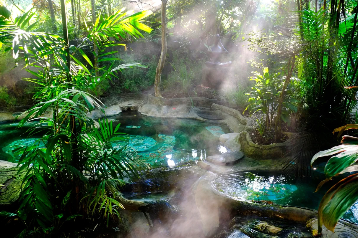 Emerald Pool and Krabi Hot Springs