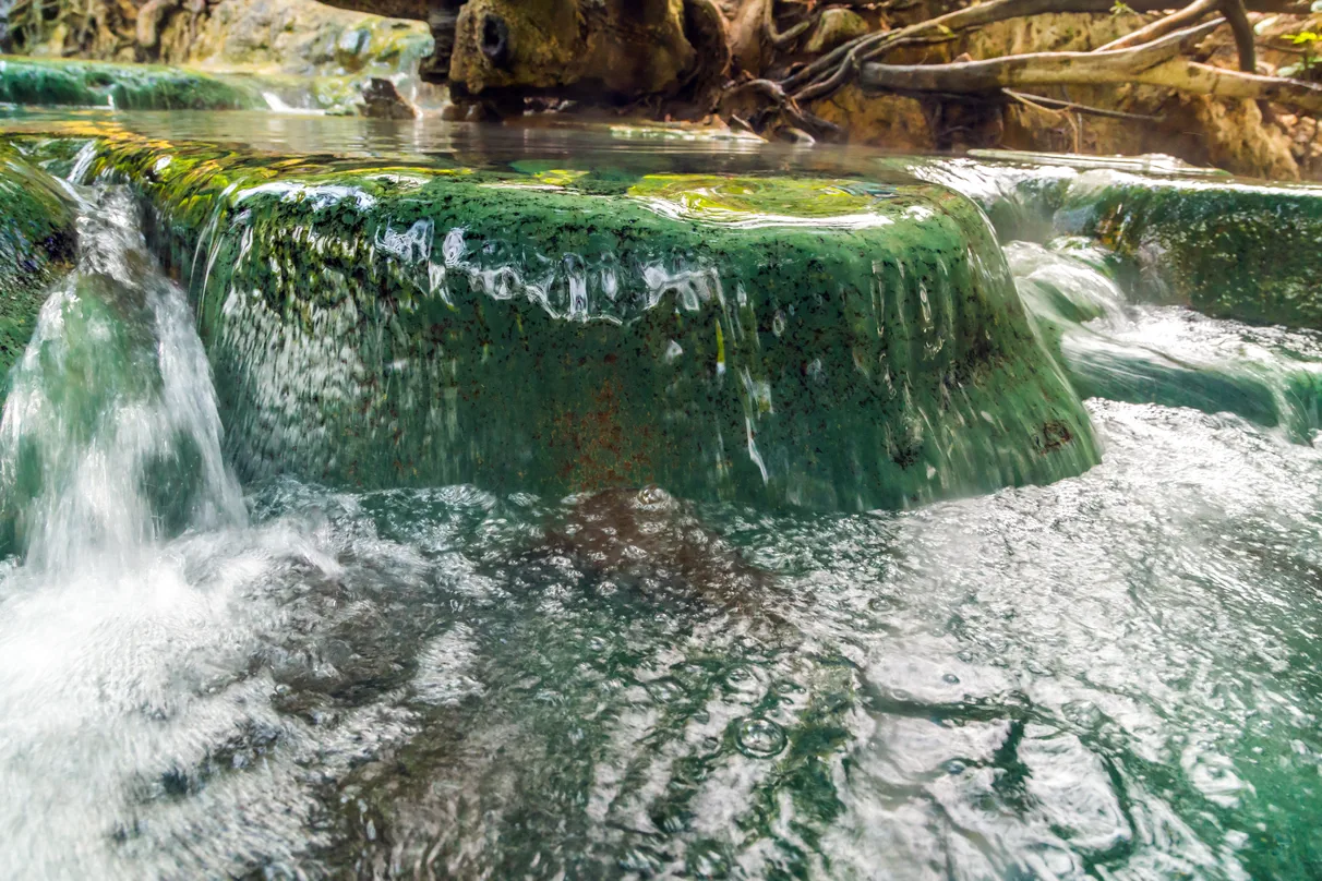 Emerald Pool and Krabi Hot Springs