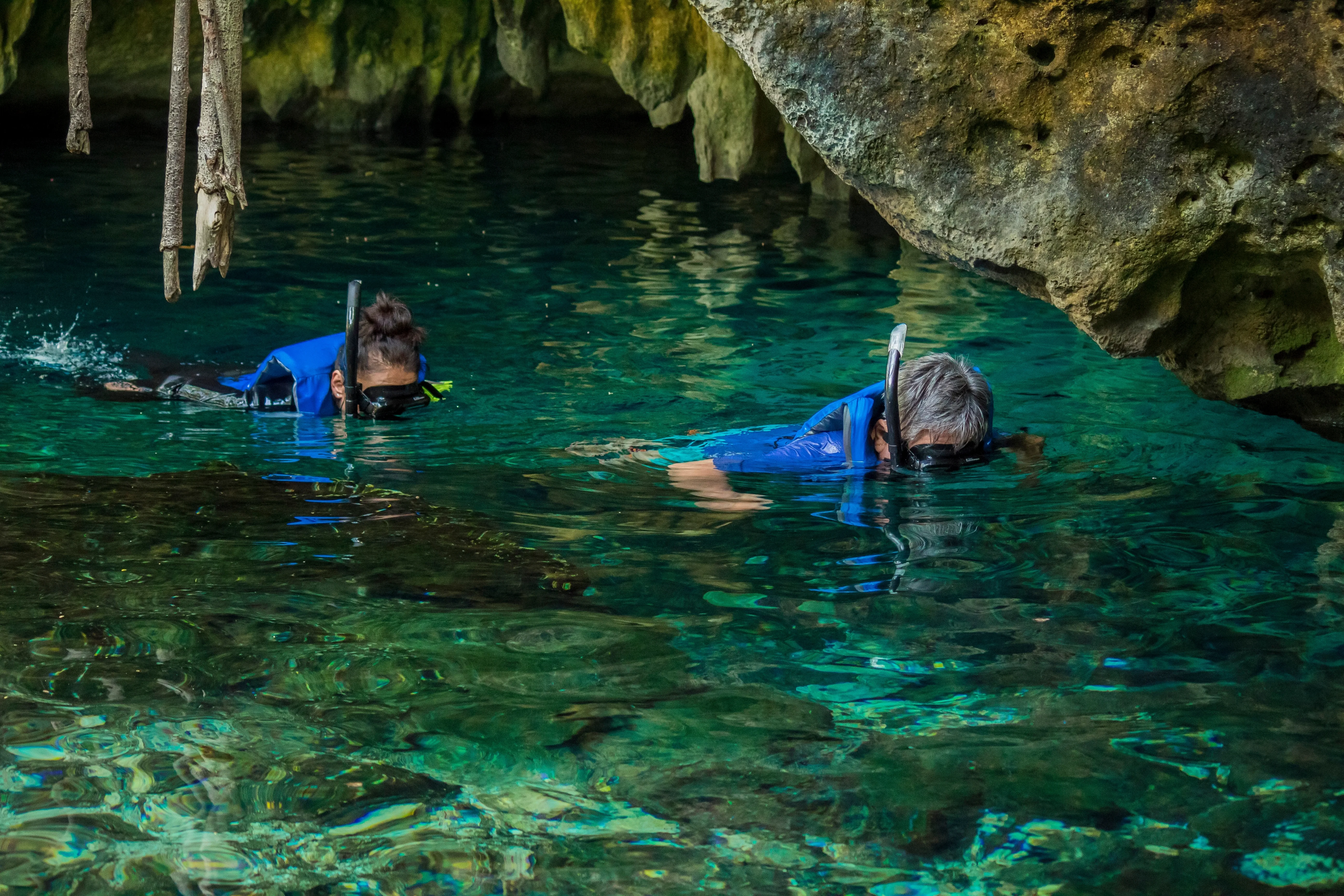 Snorkelling and Diving