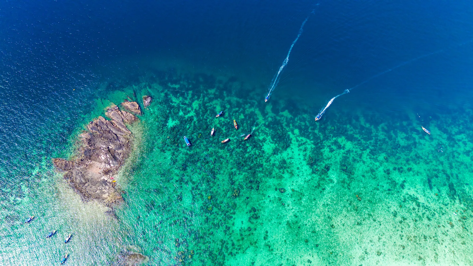 Diving at Shark Point in Phuket