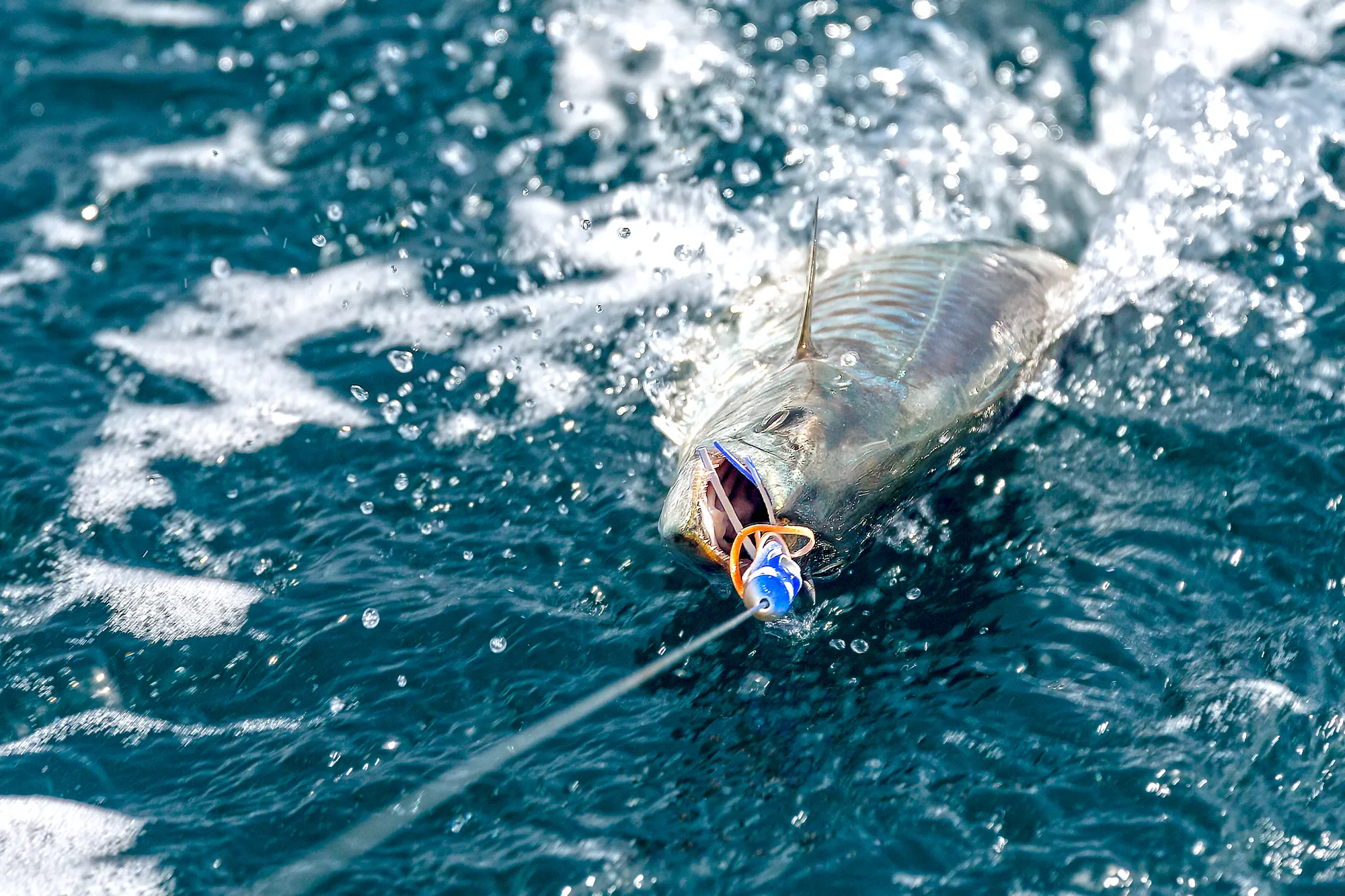 Sea Fishing in Phuket