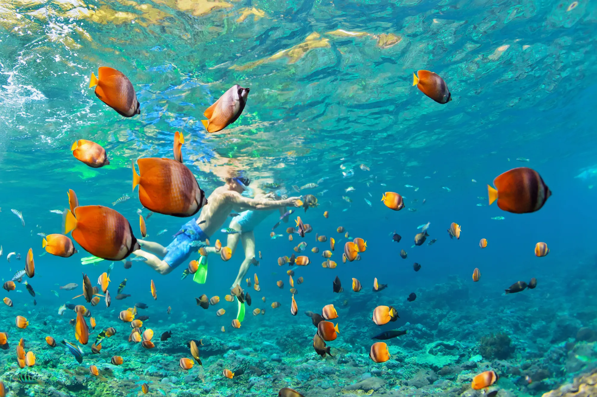Coral Island Snorkelling Tour