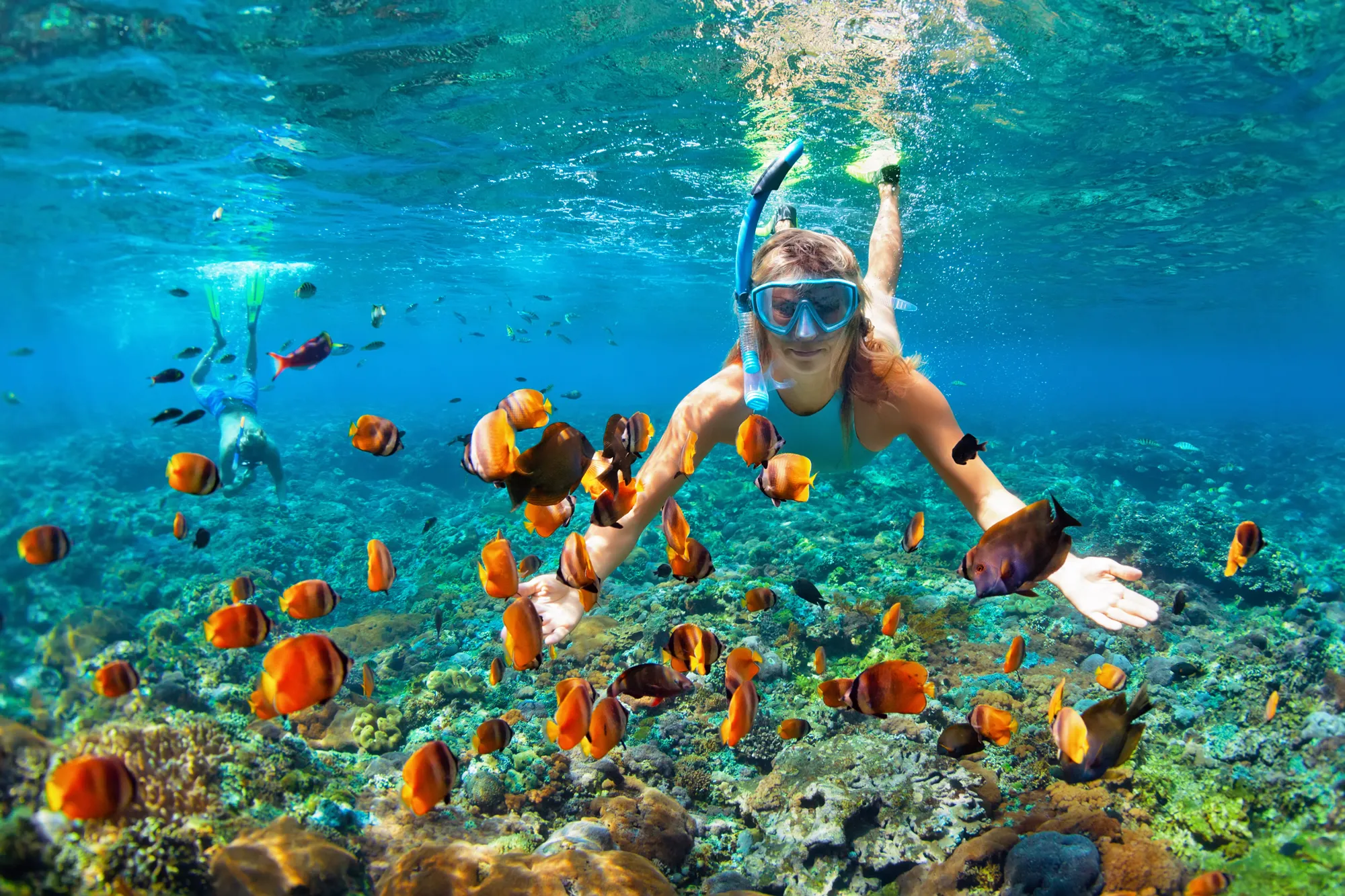 Coral Island Snorkelling Tour
