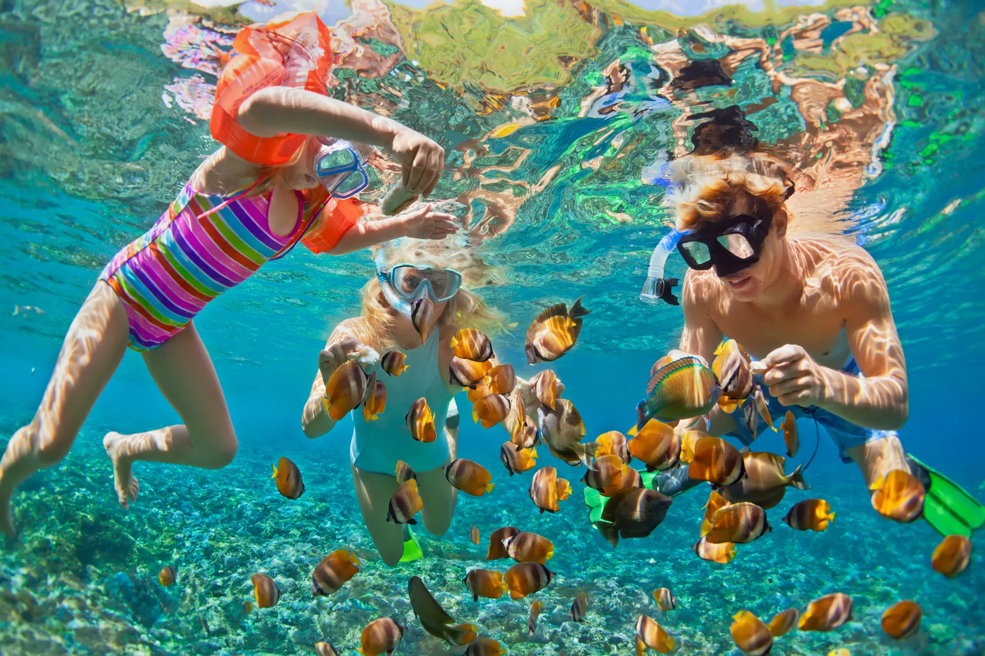 Coral Island Snorkelling Tour