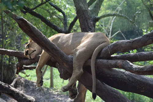 Bang Pa-In Royal Palace in Thailand.