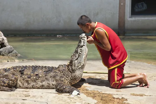 Bang Pa-In Royal Palace in Thailand.